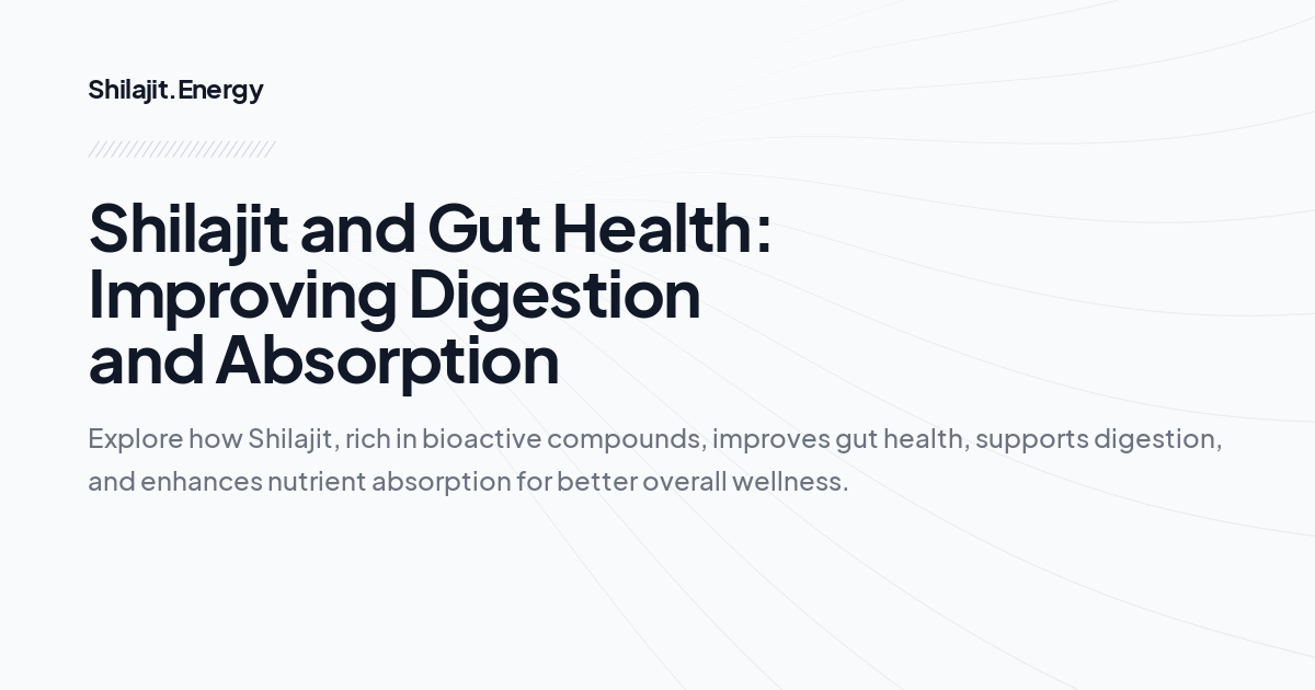 Shilajit and Gut Health: Improving Digestion and Absorption