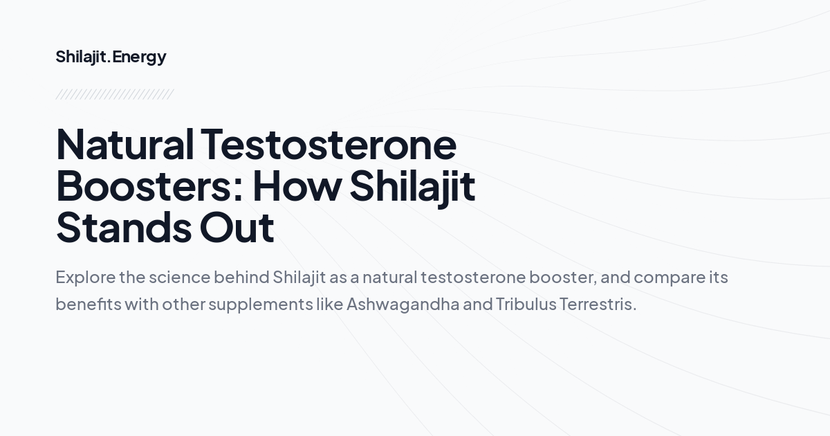 Natural Testosterone Boosters: How Shilajit Stands Out