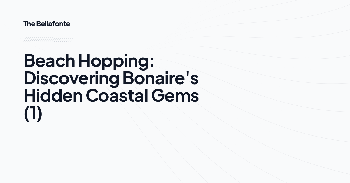 Beach Hopping: Discovering Bonaire's Hidden Coastal Gems (1)