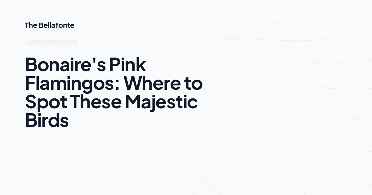 Bonaire's Pink Flamingos: Where to Spot These Majestic Birds