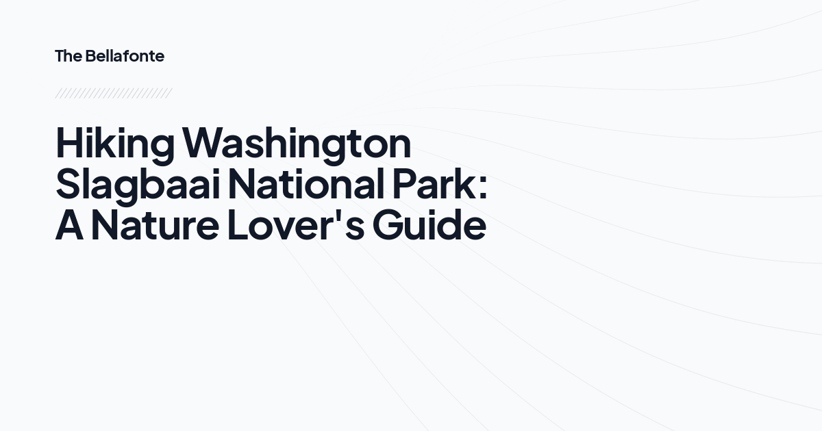 Hiking Washington Slagbaai National Park: A Nature Lover's Guide