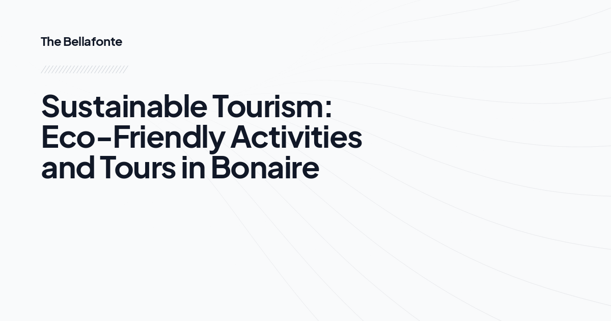 Sustainable Tourism: Eco-Friendly Activities and Tours in Bonaire