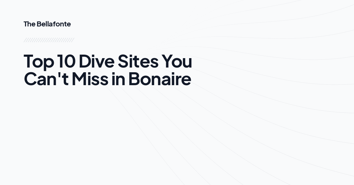 Top 10 Dive Sites You Can't Miss in Bonaire