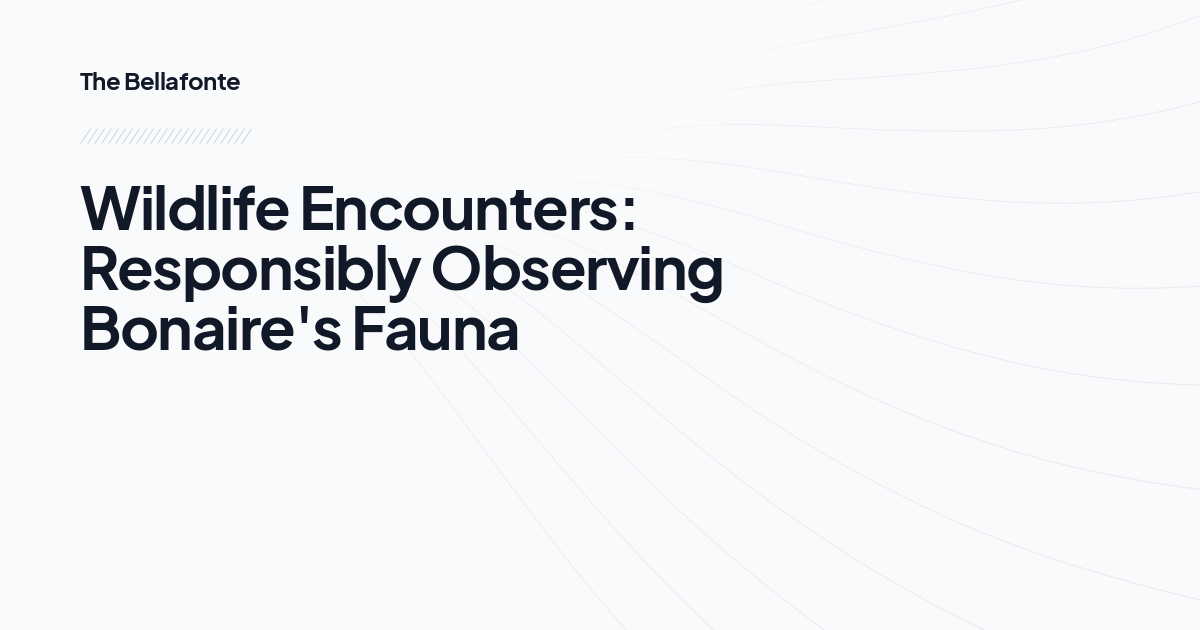 Wildlife Encounters: Responsibly Observing Bonaire's Fauna